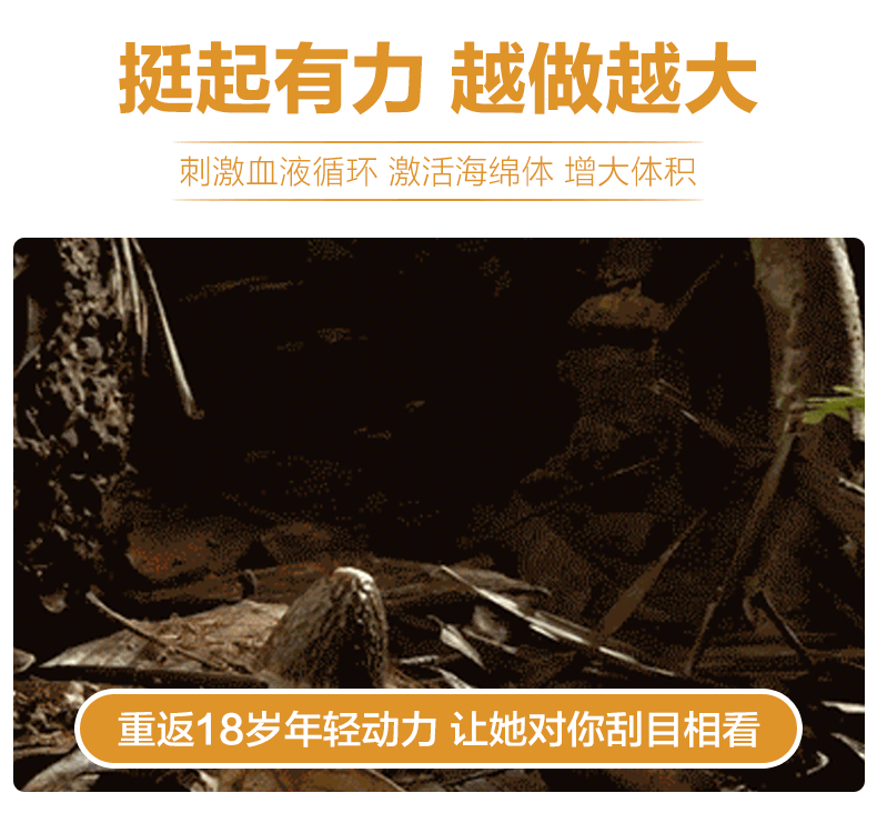 5.gif
